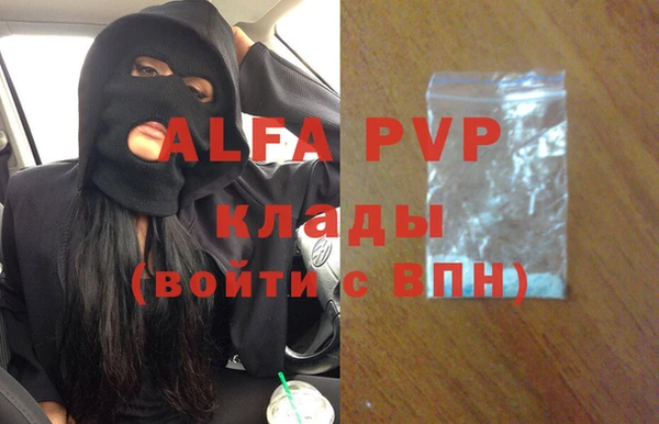 молекула духа Алексин